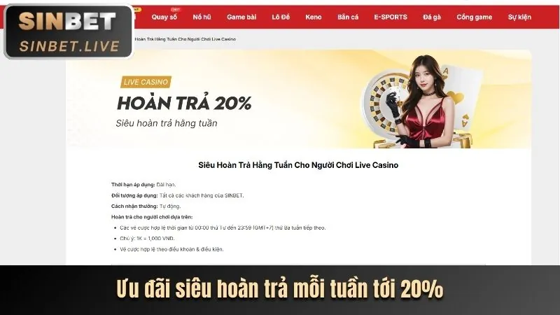 Hoàn trả casino TDTC